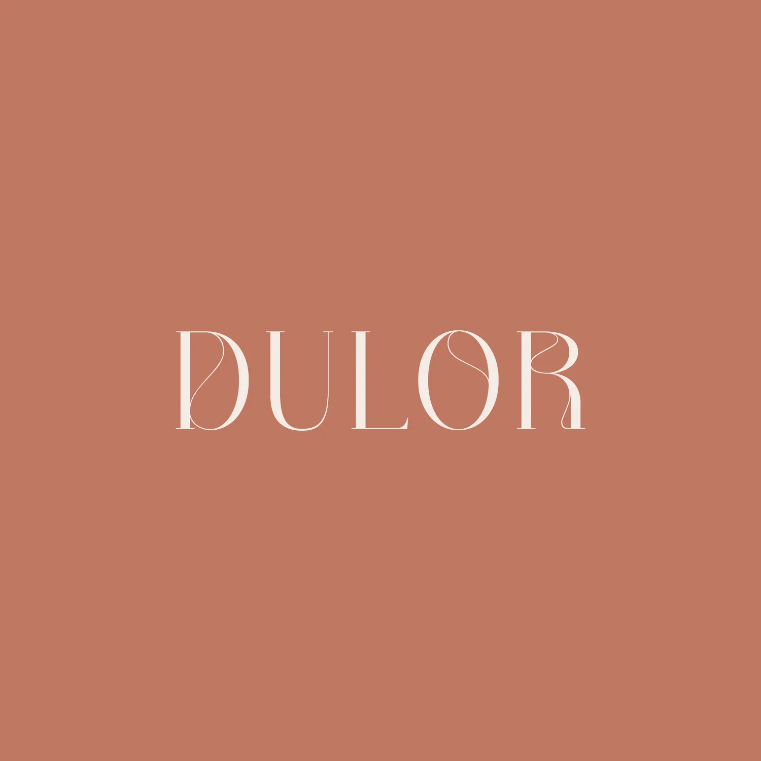 Dulor branding slide 2